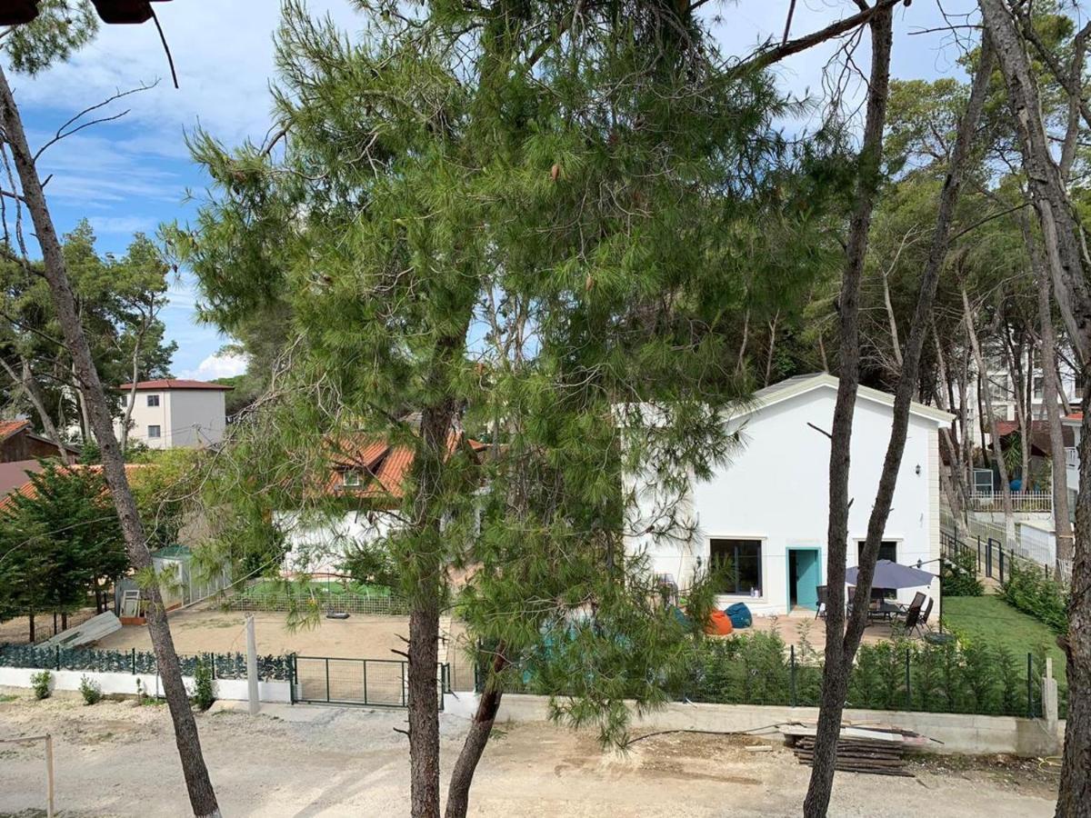 Allamani Golem (Tirana)